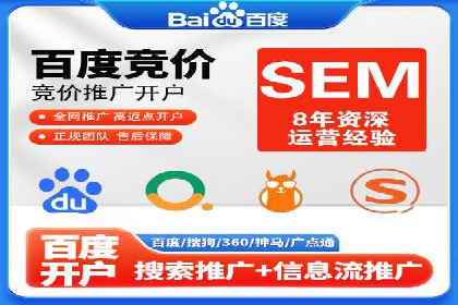 SEM投放策略：成功案例解析